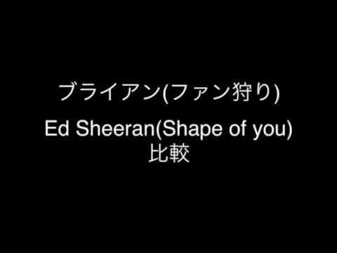ブライアン＆Shape比較