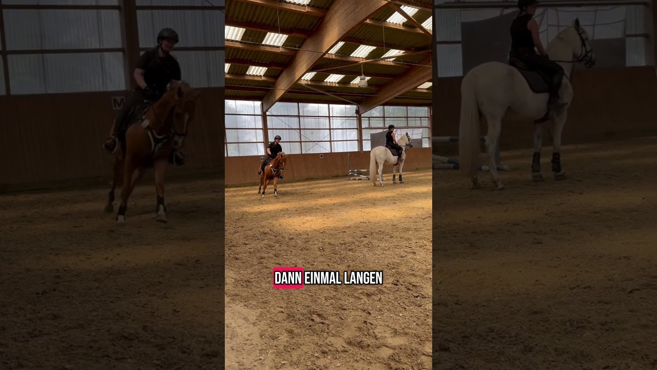 Was denkt ihr bin ich geflogen? 