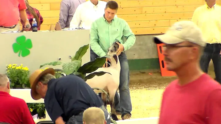 Riley Arthur | Steele County | Reserve Champion He...