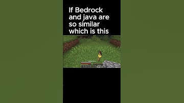 Java vs bedrock 5