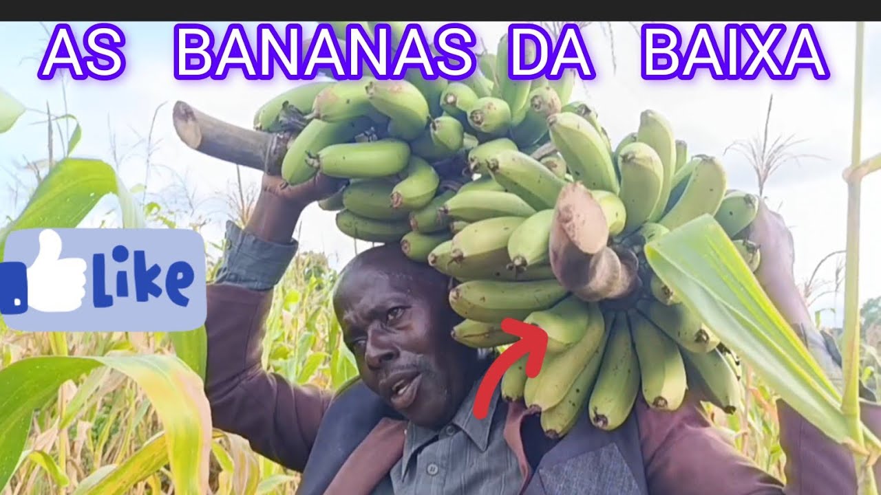 E MUITO BOM  COMER FRUTAS 