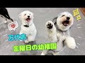 【幼稚園】万代店💫金曜日の幼稚園💫