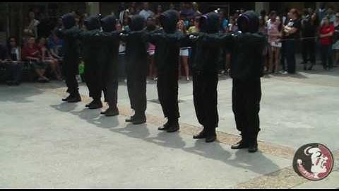 2 of 5 | Sigma Lambda Beta Probate: FSU/FAMU Spring 2010