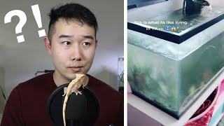 How this Fish Tank became COMPLETELY FROZEN | Fish Tank Review 95