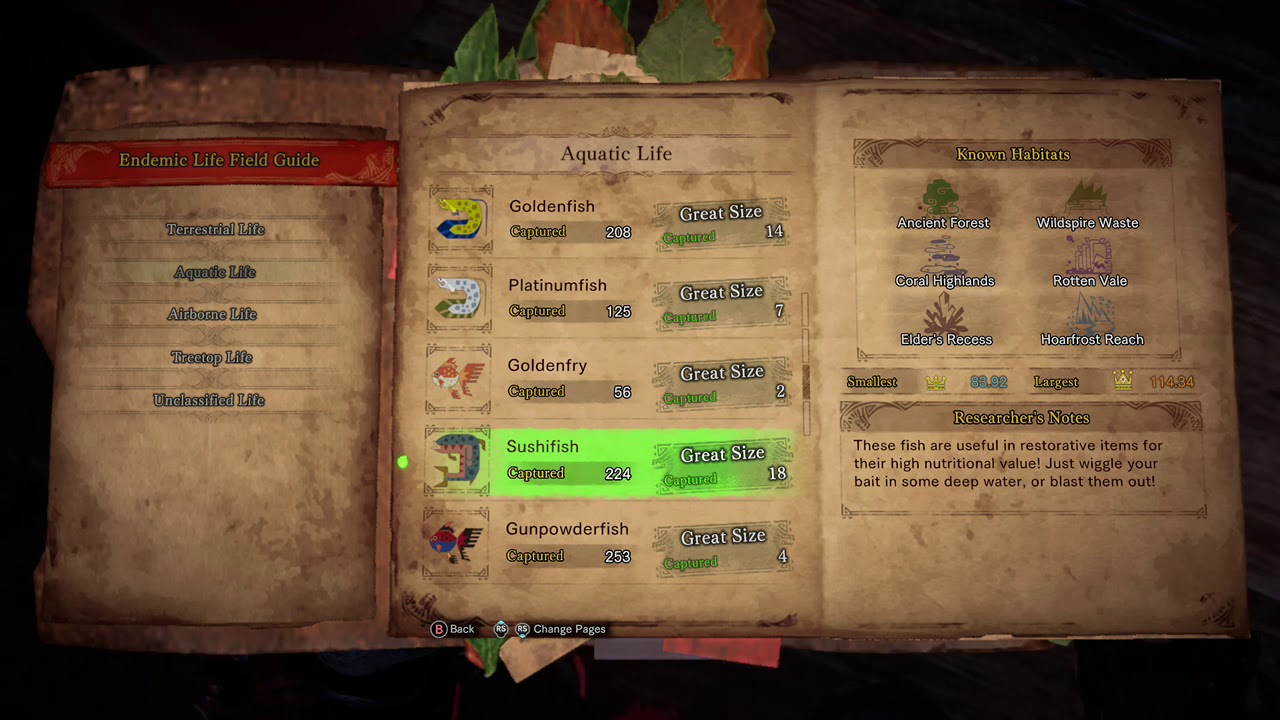 Catching All Endemic Life Crowns | MHW Iceborne - YouTube