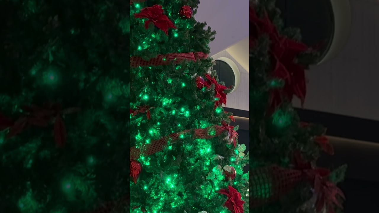 Mini Vlogmas: Christmas Decor at Disney’s Dolphin Resort 