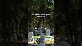 İnsanlar Uykudadırlar, Ölünce Uyanırlar.