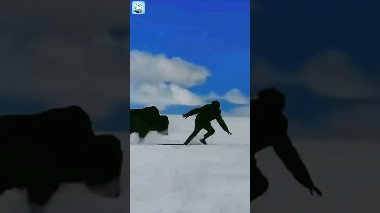 This Yak Almost KILLED Them… 