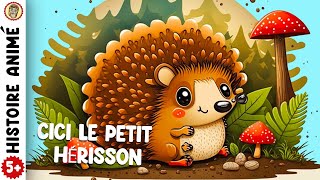 HISTOIRE POUR DORMIR pour enfant. S'endormir FACILEMENT. ' Cici Le Petit Hérisson '