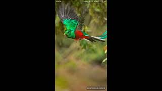 Spicing up Mi max 2 with Microsoft launcher & Apex launcher | Best For Hidding APPS. screenshot 1