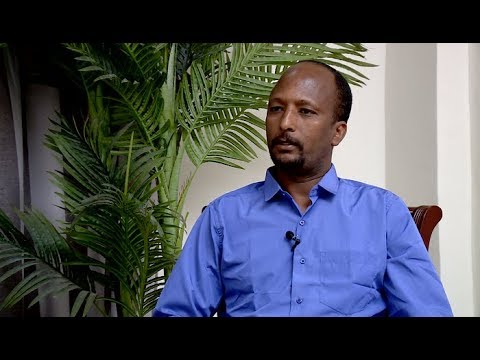 ቪዲዮ: ድመት ወይም ድመት ለምን ይሳሳል-እሱ ማስታወክ እንደሚፈልግ ፣ መታፈን ፣ ሲሳል ሲተነፍስ ፣ ሲዘረጋ እና ወደ ወለሉ ሲንሸራተት ፣ ምን ማድረግ