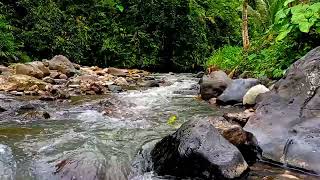 The river water flows calmly for Therapist insomnia | Water sounds for sleep in 10 minutes