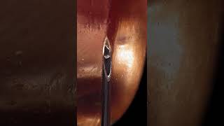 Youve Never Seen An Omega-3 Pill Like This