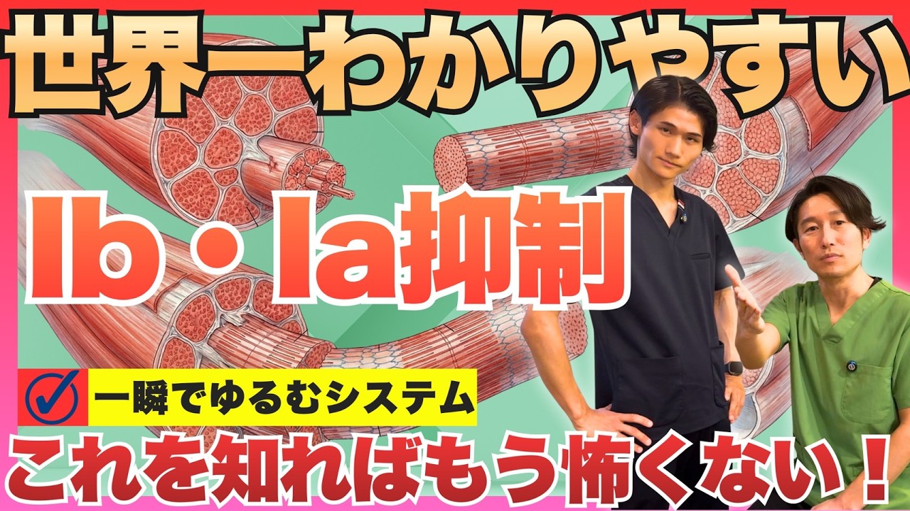 【神経×整体】筋紡錘と腱器官の仕組みを知れば、筋肉リリースの精度が根本から変わる｜Ⅰa・Ⅰb抑制の臨床応用#整体 #整体師 #整骨院 #Ⅰa抑制 #Ⅰb抑制