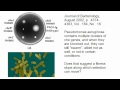 A Response to Jonathan M on Bacterial Chemotaxis