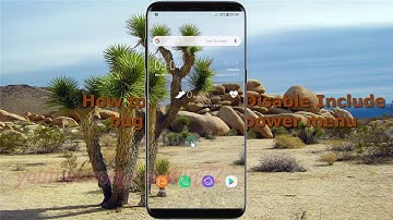 How to Enable or Disable Include bug reports in power menu in Samsung Galaxy S8 or S8+