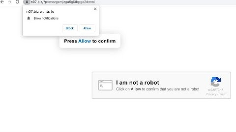 N07.biz web push notifications (removal guide).