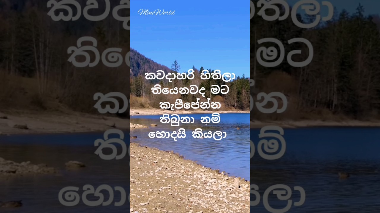 එක බැල්මෙන් අනිත් අයව හසු කරගන්නේ කොහොමද ? 👍😀😃