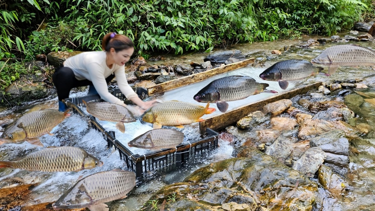 Fishing in the stream using a wooden bridge. The girl caught a lot of carp.