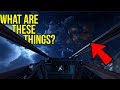 What are Bespin's Weird Creatures in Star Wars Battlefront II? Beldons Explained (Legends & Canon)