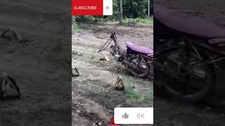 Mesin Motor jadi traktor