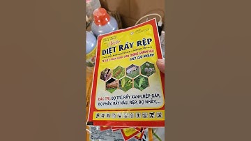 thuốc đặc trị rầy xanh bọ trĩ rệp sáp bọ phấn rầy nâu bọ nhảy