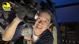 007翻新中古車 【E60 525i 黑亞噹】 第二集 【查修加速抖動】【 繞了一圈原來問題是~】