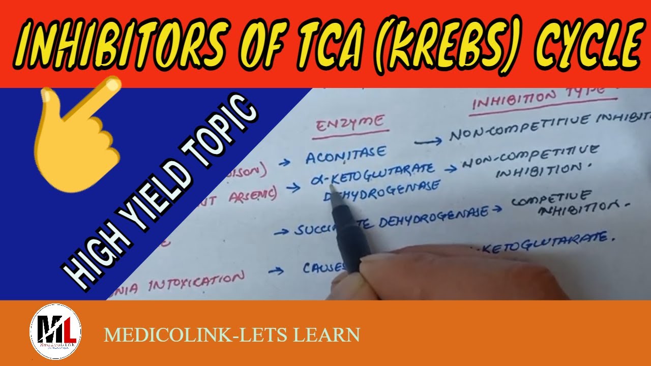 Inhibitors of TCA (Krebs) Cycle Biochemistry YouTube