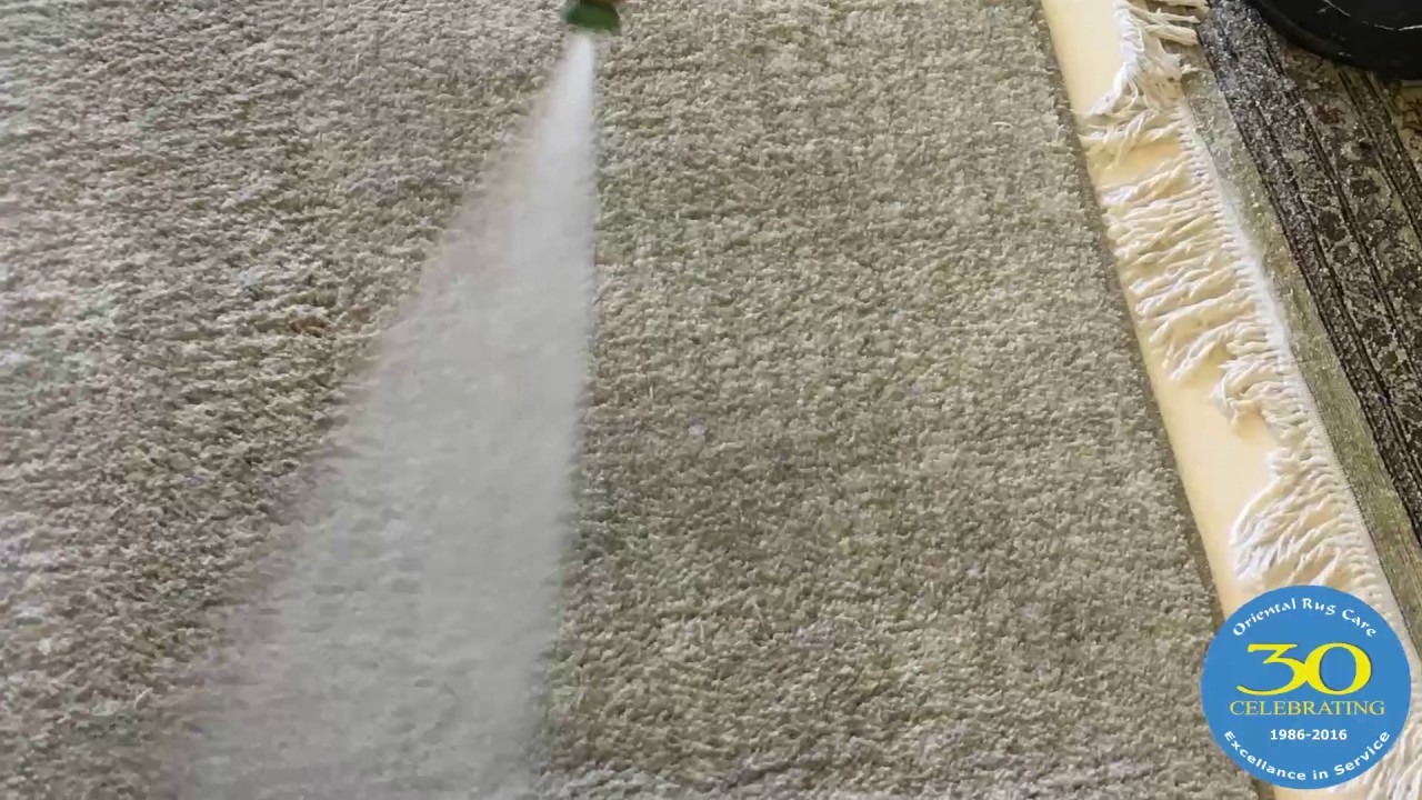 How To Deep Clean Oriental Rug Palm Beach? YouTube