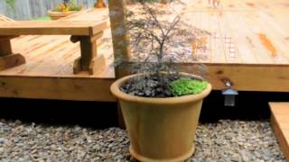 deckjuly2013 Campania planters and more