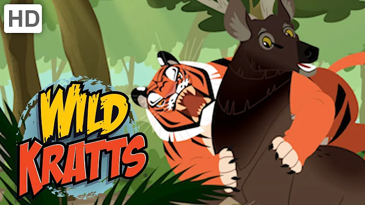 Wild Kratts  Rescuing Endangered Species | Kids Vi...