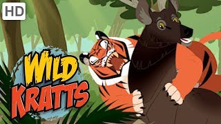 Wild Kratts  Rescuing Endangered Species | Kids Videos