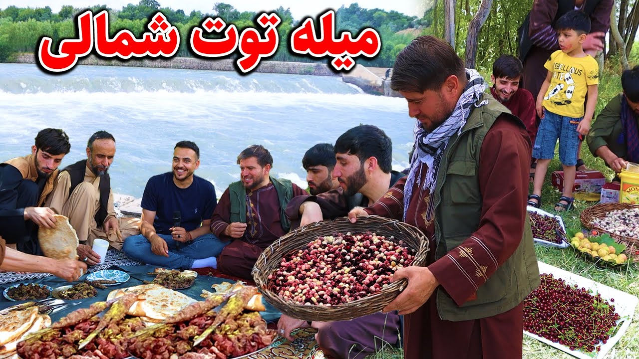 گزارش ضیا صالحی از سفر و چکر شمالی میله توت/zia report of toot shamali