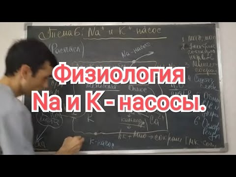 Видео: Почему натрий превратился в натрий?