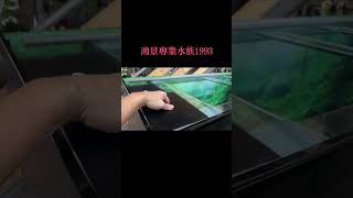 #大型龍魚系統 #水槽 #魚缸製作#底濾缸 #鴻景水族 #fishtank