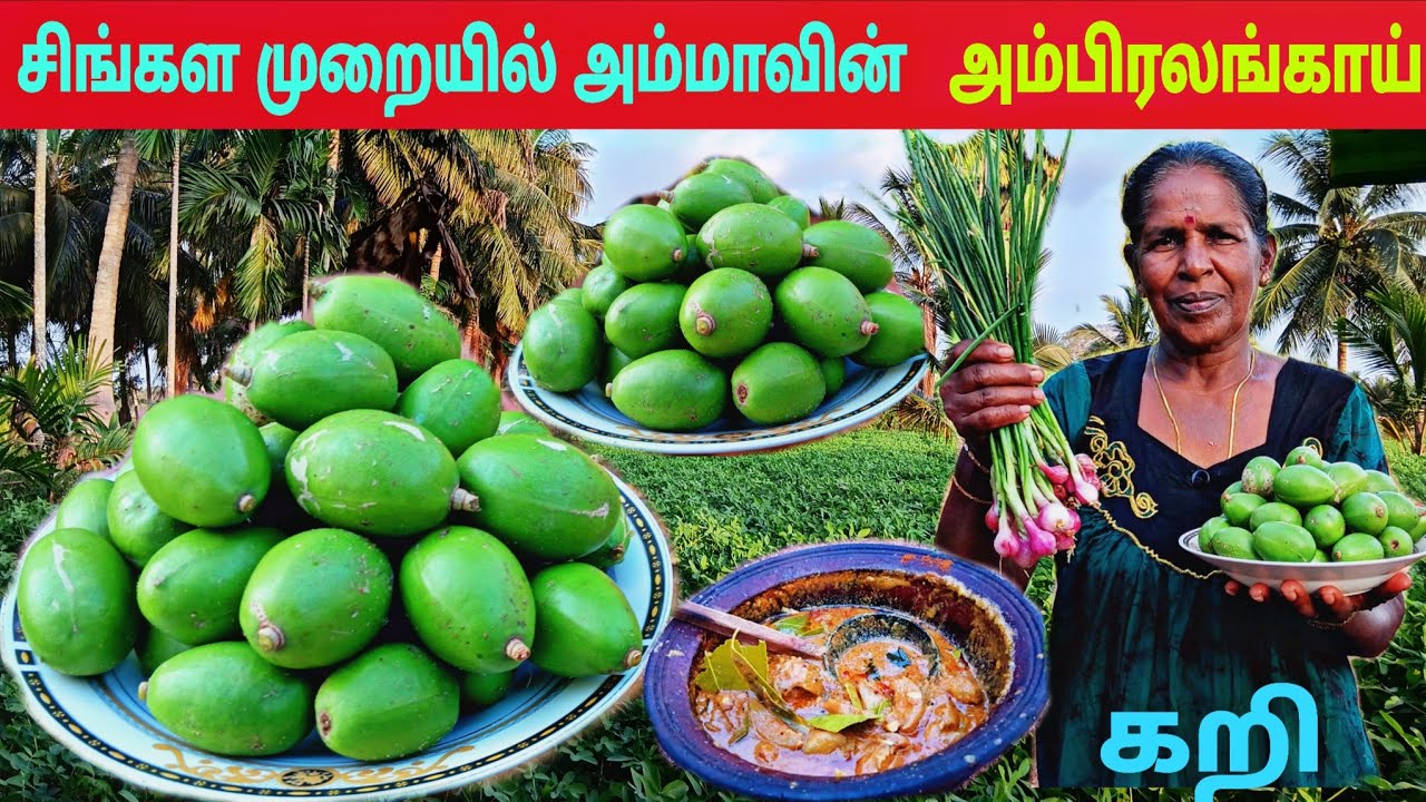 அம்மாவைத்த  கறியால் மயங்கிவிட்டேன் l village life 💚 vanni bro l 