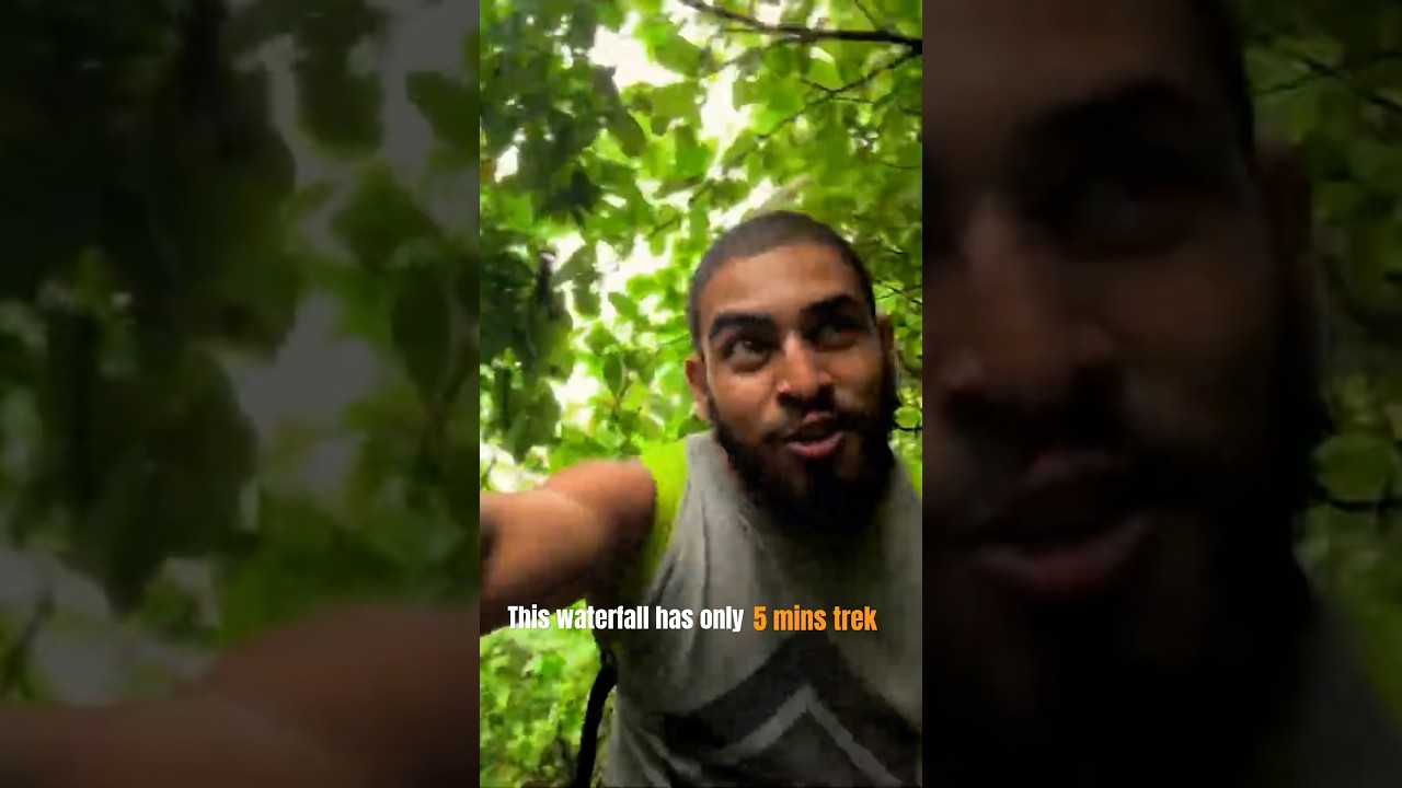 This waterfall has only 5 mins trekking. 