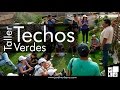 Taller de Techos Verdes