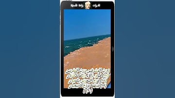 الشيخ عبد الباسط عبد الصمد  (( بَيْنَهُمَا بَرْزَخٌ لَّا يَبْغِيَانِ )) سورة الرحمن