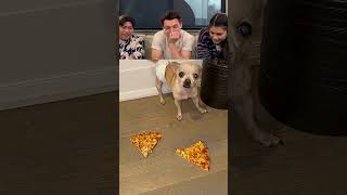 Tom Holland React Viral Videos part 12 #tomholland #funny #trytolaugh #reaction
