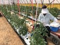 AGRITECH ISRAEL No1