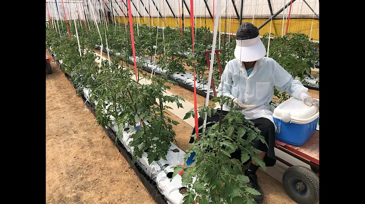 AGRITECH ISRAEL No1