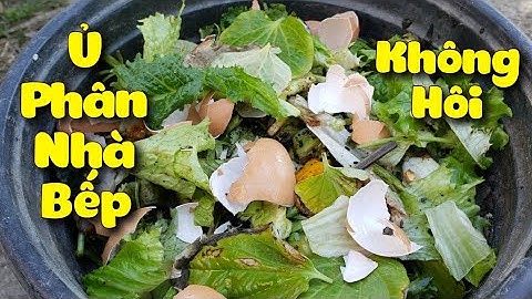 Chia sẻ cách ủ rác nhà bếp làm phân hữu cơ không hôi, không giòi. Bón cho rau rất tốt| TracyK_USA🍓