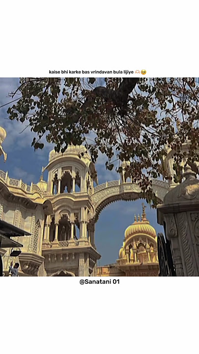 Prabhu vrindavan bula lijiye 🤧💗💫 || Whatsapp status || #radhakrishna #vrindavan #sanatandharma