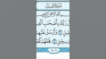 سورة الفيل   بصوت جميل #aladdinedit #القرآن_الكريم #الاذن