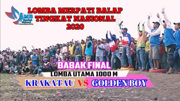 LOMBA MERPATI BALAP NASIONAL PROBOLINGGO 2020