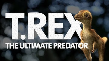 What Did a Baby T. rex Look Like? 🦖 🦖 🦖 🦖