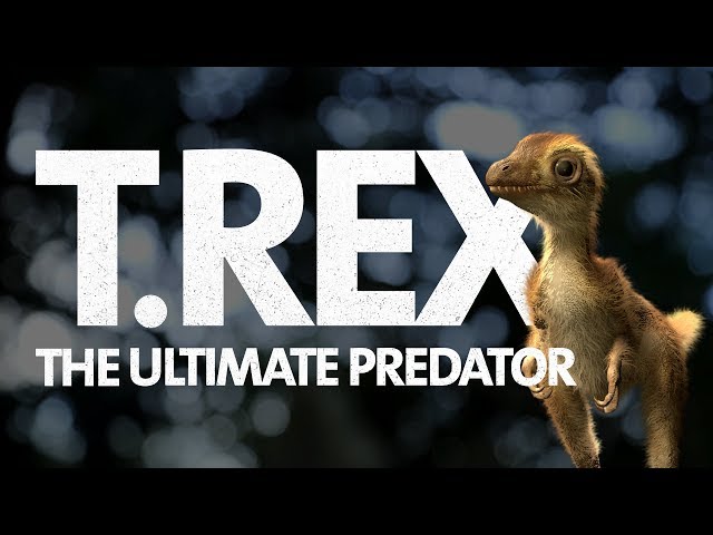 Les Bebes T Rex Etaient Beaucoup Moins Effrayants Que Leurs Parents Le Point