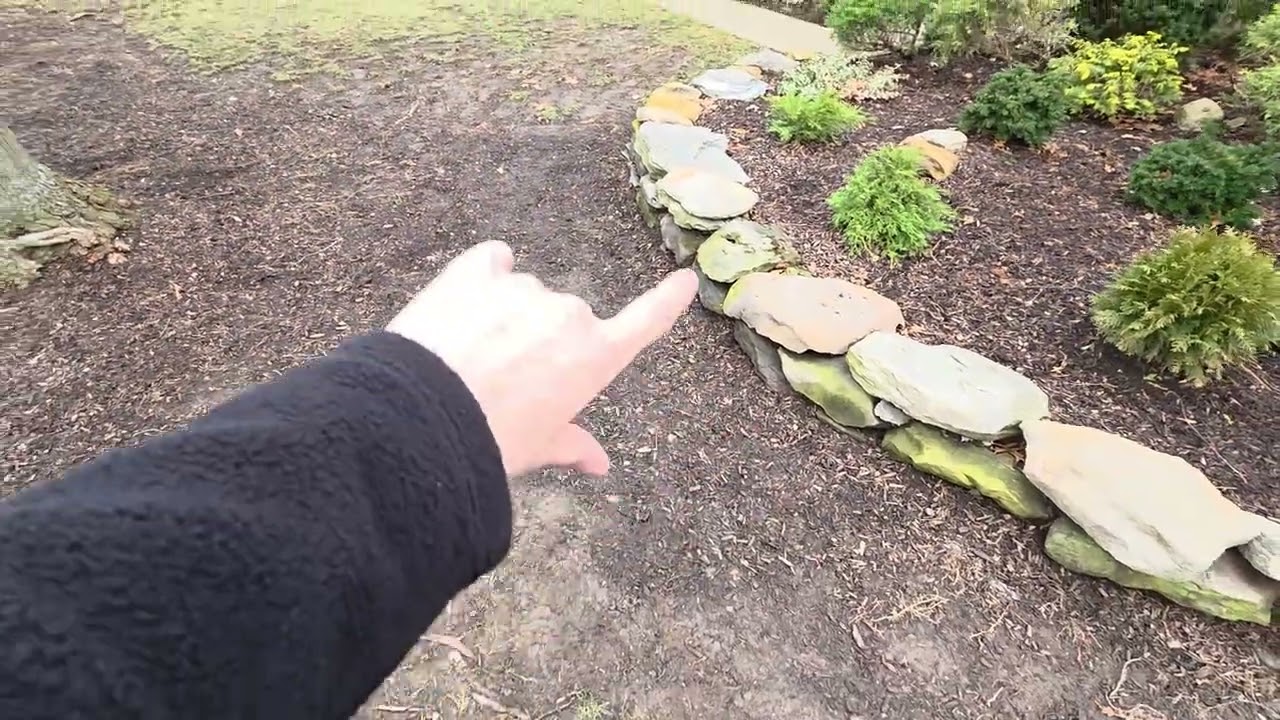 Skufca- New Lawn Installation 