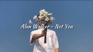 Alan Walker - Not You (lyrics)